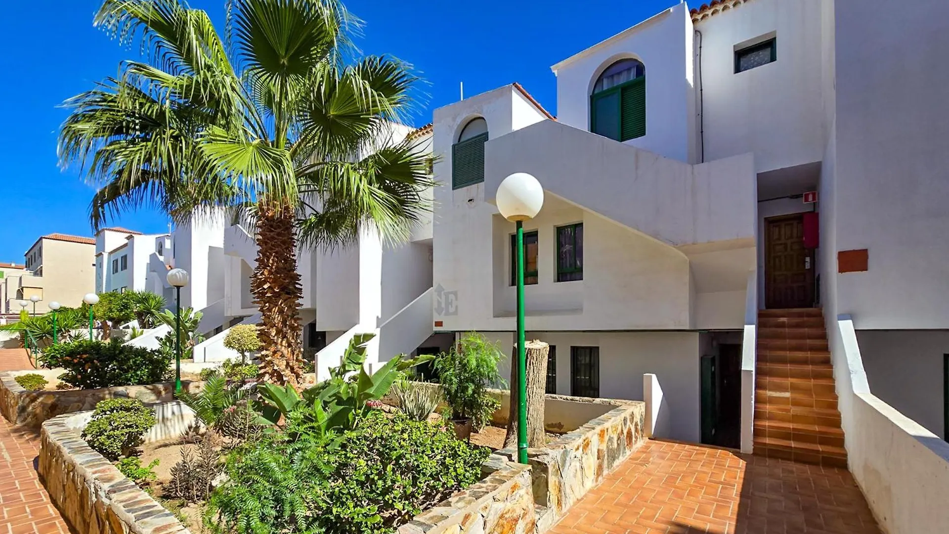 Cactus Apartment - Costa Del Silencio